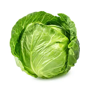 cabbage (16)-9130170-7015.webp